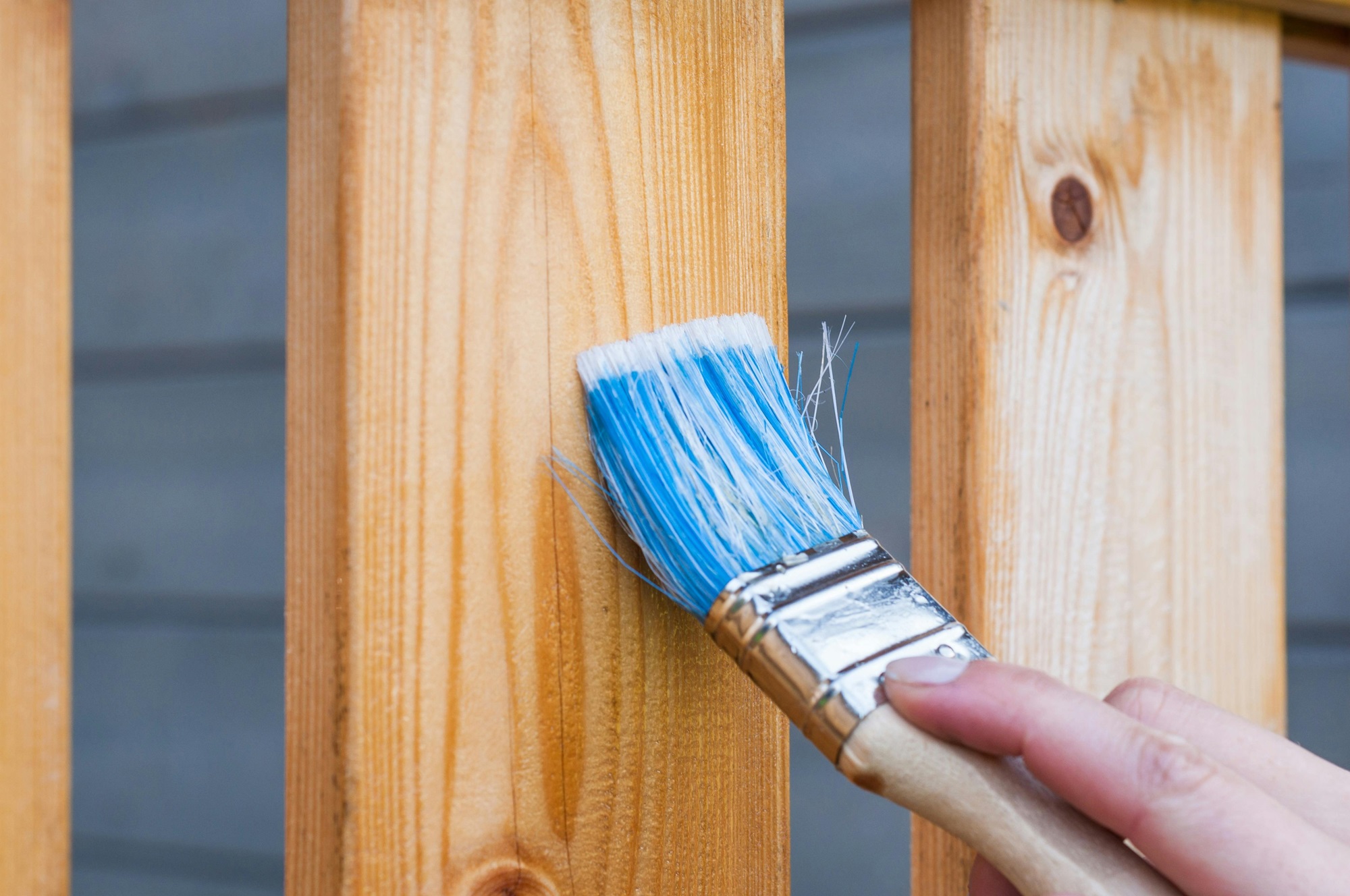 DIY Projects for Adults on a Budget to Spruce Up Your Living Space