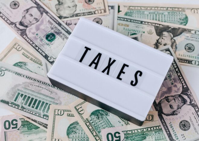 Taxes for Dummies: A Friendly Guide to Understanding Your Taxes